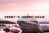 才思敏捷下一句（才思敏捷下一句怎么说）