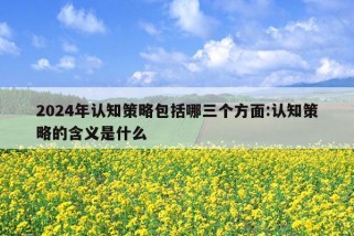 2024年认知策略包括哪三个方面:认知策略的含义是什么