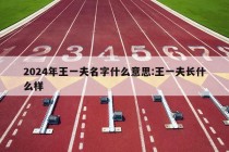 2024年王一夫名字什么意思:王一夫长什么样