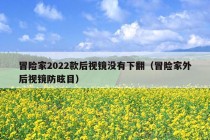 冒险家2022款后视镜没有下翻（冒险家外后视镜防眩目）