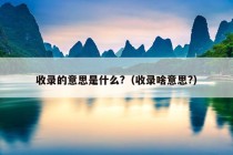 收录的意思是什么?（收录啥意思?）