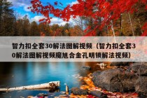 智力扣全套30解法图解视频（智力扣全套30解法图解视频魔旭合金孔明锁解法视频）