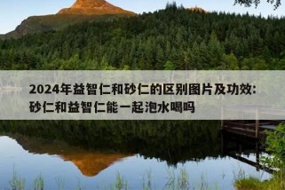 2024年益智仁和砂仁的区别图片及功效:砂仁和益智仁能一起泡水喝吗