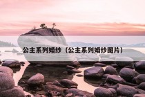 公主系列婚纱（公主系列婚纱图片）