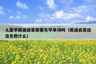 儿童学英语启蒙需要先学单词吗（英语启蒙应该先教什么）