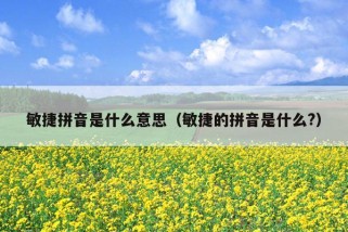 敏捷拼音是什么意思（敏捷的拼音是什么?）