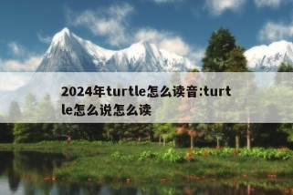 2024年turtle怎么读音:turtle怎么说怎么读