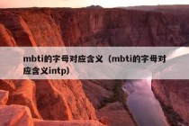 mbti的字母对应含义（mbti的字母对应含义intp）