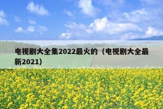 电视剧大全集2022最火的（电视剧大全最新2021）