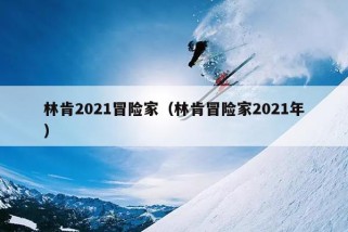 林肯2021冒险家（林肯冒险家2021年）