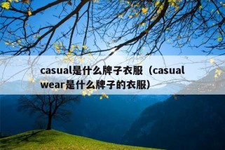 casual是什么牌子衣服（casualwear是什么牌子的衣服）