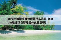 scrum敏捷项目管理是什么意思（scrum敏捷项目管理是什么意思呀）