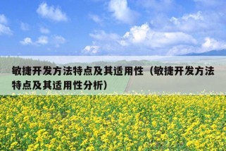 敏捷开发方法特点及其适用性（敏捷开发方法特点及其适用性分析）