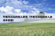 平板可以玩的双人游戏（平板可以玩的双人游戏手机版）