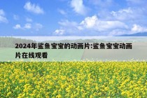 2024年鲨鱼宝宝的动画片:鲨鱼宝宝动画片在线观看