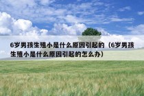 6岁男孩生殖小是什么原因引起的（6岁男孩生殖小是什么原因引起的怎么办）