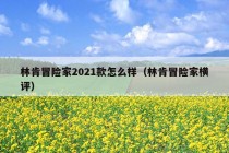 林肯冒险家2021款怎么样（林肯冒险家横评）