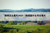 微博怎么看片2019（微博查什么可以看片）