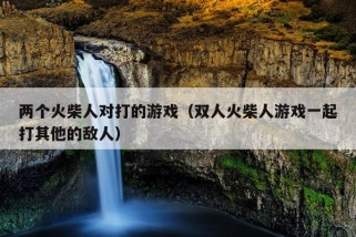 两个火柴人对打的游戏（双人火柴人游戏一起打其他的敌人）