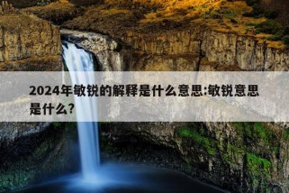 2024年敏锐的解释是什么意思:敏锐意思是什么?