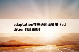 adaptation在英语翻译策略（addition翻译策略）