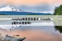 cosplay啥意思你是不（cosplay是什么意思呀）