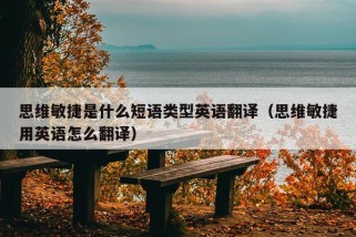 思维敏捷是什么短语类型英语翻译（思维敏捷用英语怎么翻译）