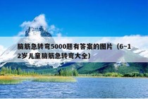 脑筋急转弯5000题有答案的图片（6～12岁儿童脑筋急转弯大全）