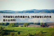 中药益智仁的作用是什么（中药益智仁的作用是什么功效）