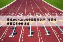 棉被200×230秋冬需要多少斤（冬天棉被要买多少斤才暖）