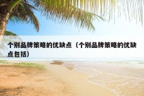 个别品牌策略的优缺点（个别品牌策略的优缺点包括）