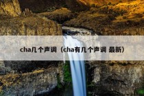 cha几个声调（cha有几个声调 最新）