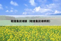 敏捷集团谭颖（敏捷集团谭炳照）