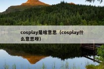 cosplay是啥意思（cosplay什么意思呀）