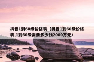 抖音1到60级价格表（抖音1到60级价格表,1到60级需要多少钱2000万元）