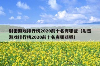 射击游戏排行榜2020前十名有哪些（射击游戏排行榜2020前十名有哪些呢）