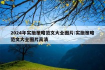 2024年实施策略范文大全图片:实施策略范文大全图片高清