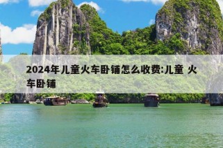 2024年儿童火车卧铺怎么收费:儿童 火车卧铺