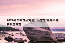 2024年策略性研究是什么意思:策略研究的概念界定