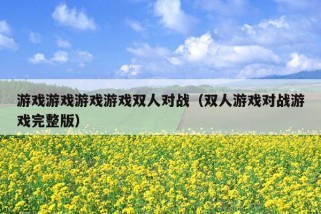 游戏游戏游戏游戏双人对战（双人游戏对战游戏完整版）