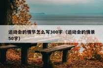 运动会的情节怎么写300字（运动会的情景50字）