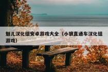 魅儿汉化组安卓游戏大全（小狼直通车汉化组游戏）