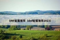 DNF配置推荐（dnf配置推荐2023）