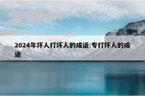 2024年坏人打坏人的成语:专打坏人的成语