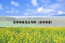 合并拼音怎么写的（合并读音）