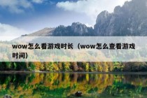 wow怎么看游戏时长（wow怎么查看游戏时间）