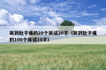 笑到肚子痛的20个笑话20字（笑到肚子痛的100个笑话10字）