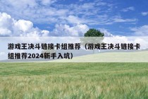 游戏王决斗链接卡组推荐（游戏王决斗链接卡组推荐2024新手入坑）