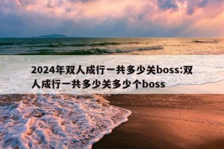 2024年双人成行一共多少关boss:双人成行一共多少关多少个boss