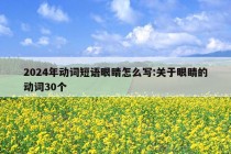 2024年动词短语眼睛怎么写:关于眼睛的动词30个